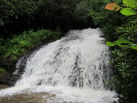 Ledford Falls, rushing and full with spring thaws!