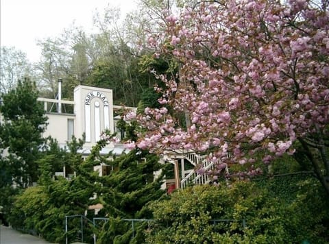 View from the Street