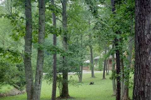 A view from the lot across the street to cabin