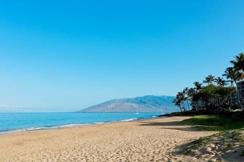KAMAO'LE BEACH II  One of the most family friendly on the island!