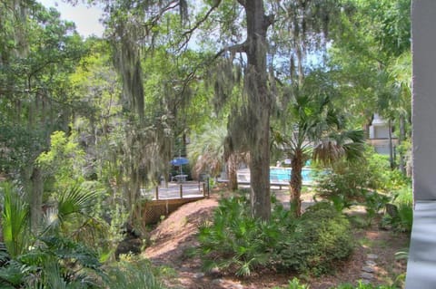 View of pool from balcony through tropical foliage
