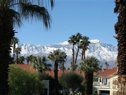 Mountain View from various condos
