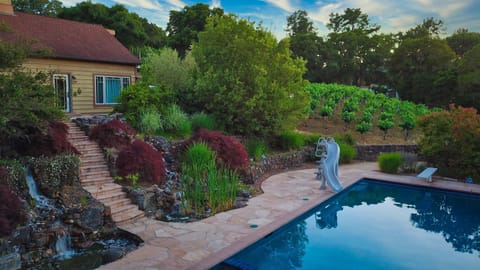 House is surrounded by vineyard, oak trees and a waterfall