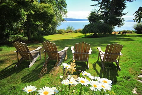 park like setting in back yard