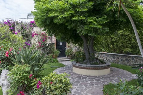 Entrance Garden (La Entrada Principal)