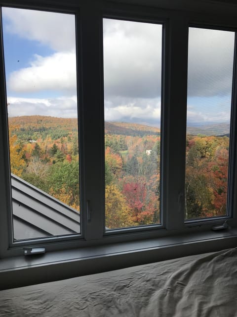 view from 4th floor loft  window by bed in the fall