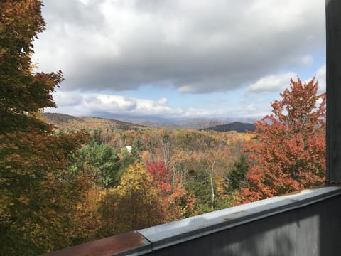 view from balcony on 3rd floor, off master BR