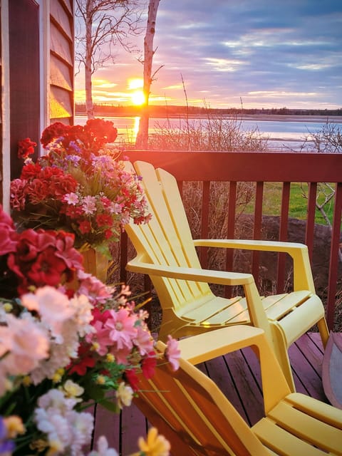 Welcome to Bellmora Beach House. Amazing sunsets, pet and family friendly. 