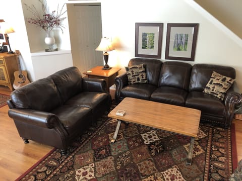 Family room with cozy leather couches