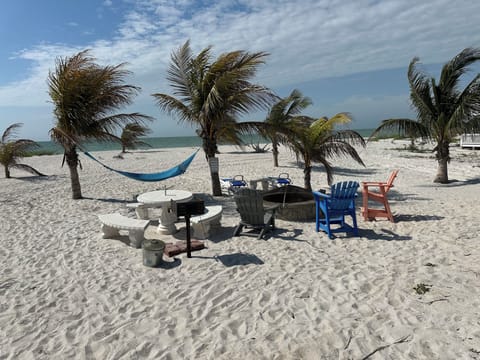 Fire Pit, Grill, picnic table & Lounge chairs