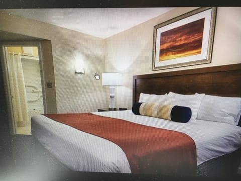 masterbedroom with king size bed