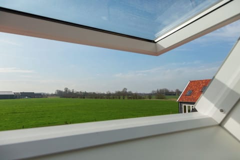 View from Holiday Home [summer]