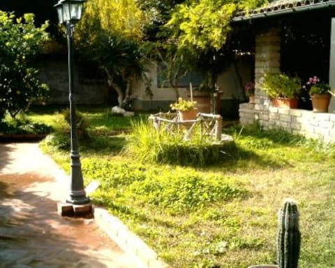 Garden, Park