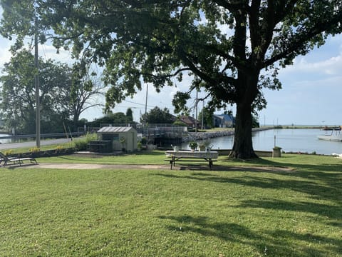 Nice big front yard with a gorgeous view of Lake Erie!