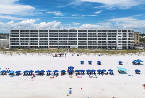 Surf Dweller beaches