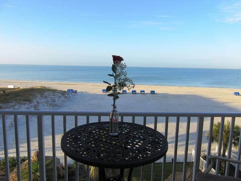 Serene view from our condo