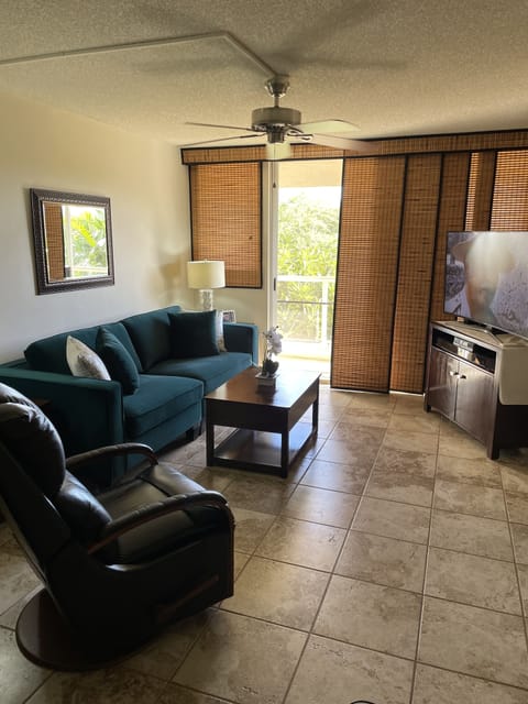 Living room with sofa and Lazyboy leather recliner and QUIET split AC