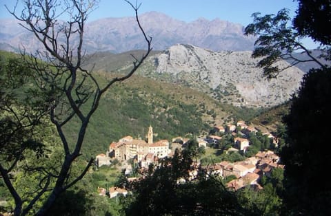 Overview