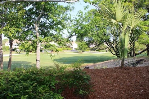 Watching the golfers tackle the par 5, 11th hole.