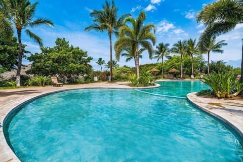 Common Area Pool Surrounded by Palm Trees