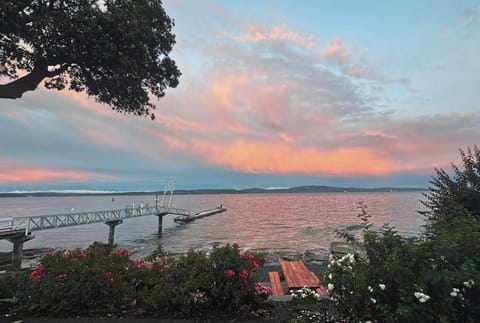 Candy Cotton skies from oceanfront views.