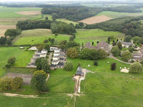 Plant, Property, Ecoregion, Natural Environment, Tree, Natural Landscape, Land Lot, Vegetation, Grass, Grassland