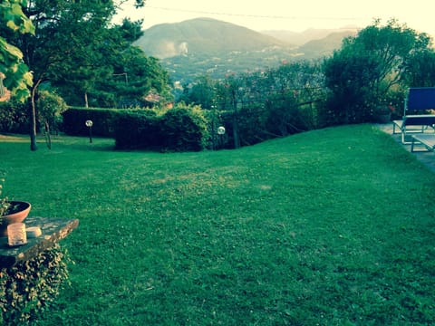 Our large private garden