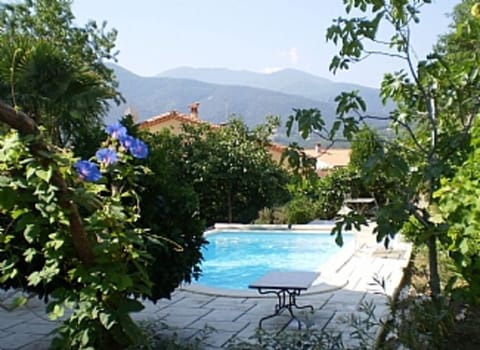 Swimming pool and terrace on edge of conservation area; dining area at rear