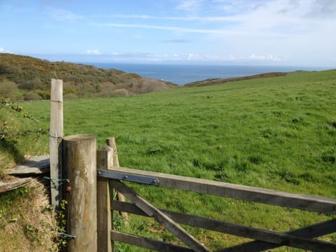 View to Bennets Cove
