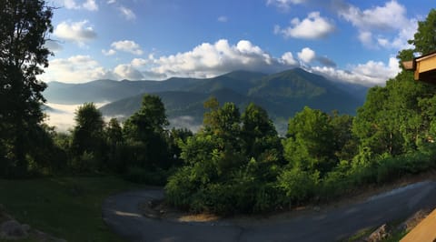 Our summer view from porch!