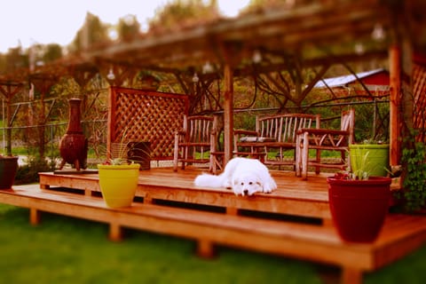 The guest sundeck, a great spot to relax. 