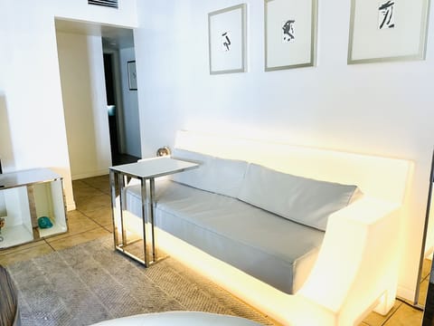 stylish living area