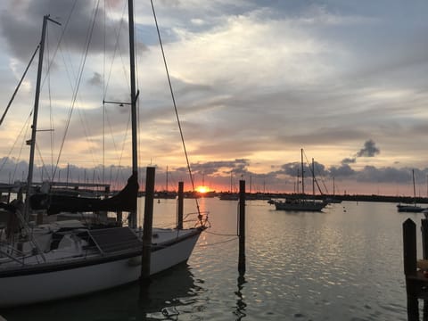 Marina