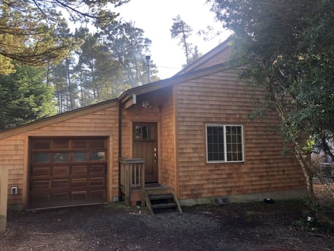 The master bedroom is on the right side of the house with high sloped ceiling.
