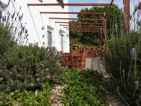 Casita Jacaranda Private Terrace