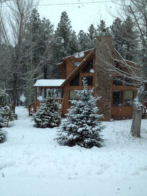 Cabin in the Pines