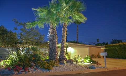 Welcome to Desi's Desert Pad