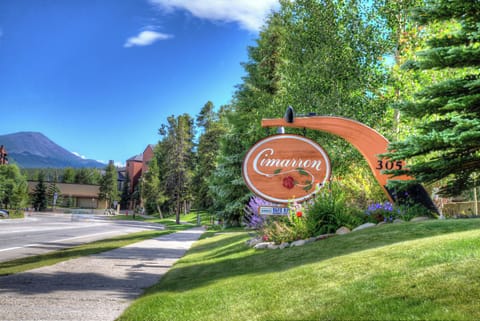 Summer in paradise. Park & never drive to call x restaurants ski lifts. 