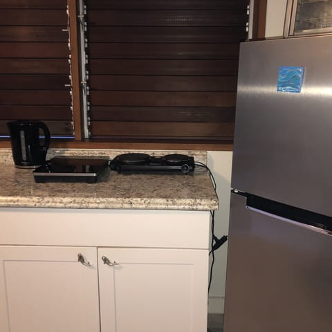 Traditional electric cooktop, induction glass cook top, electric water boiler.
