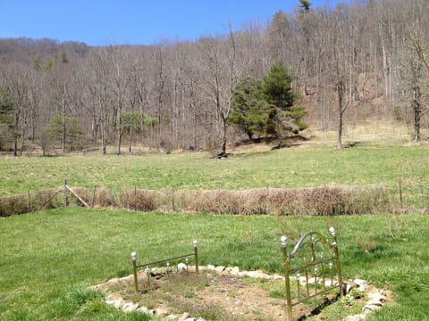 Piscah National Forest