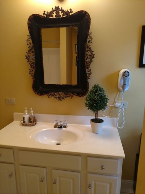 Wall mount hair dryer