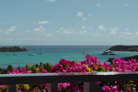 view from verandas 