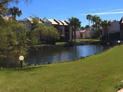Rear view from Lanai