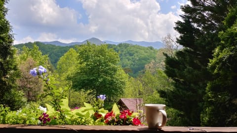 Coffee with a view!  This is from the front porch of the cabin