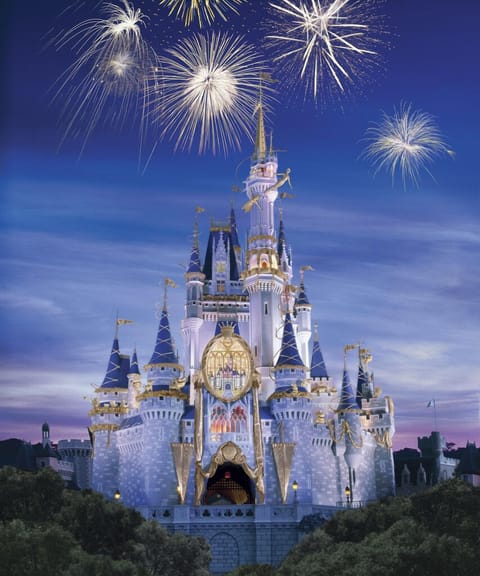 The Disney World is just a few miles away
