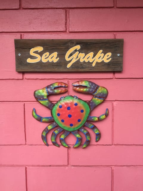 Welcome to the Sea Grape Cottage at Casas de la Playa!