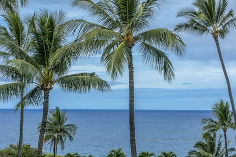Great ocean, island, garden and pool view from lanai of C505