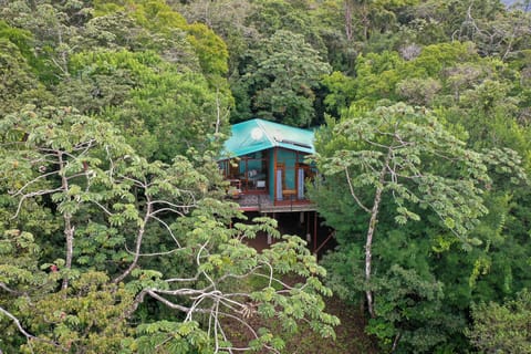 House front