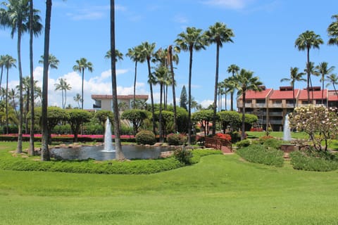 View from our ground floor lanai