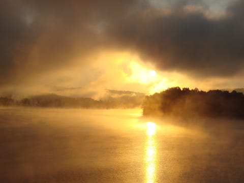 513-519-3279 --Nicole 

www.youtube.com/watch?v=fp6DIv3KSbE
